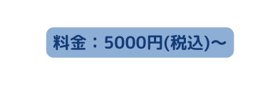 料金 5000円 税込